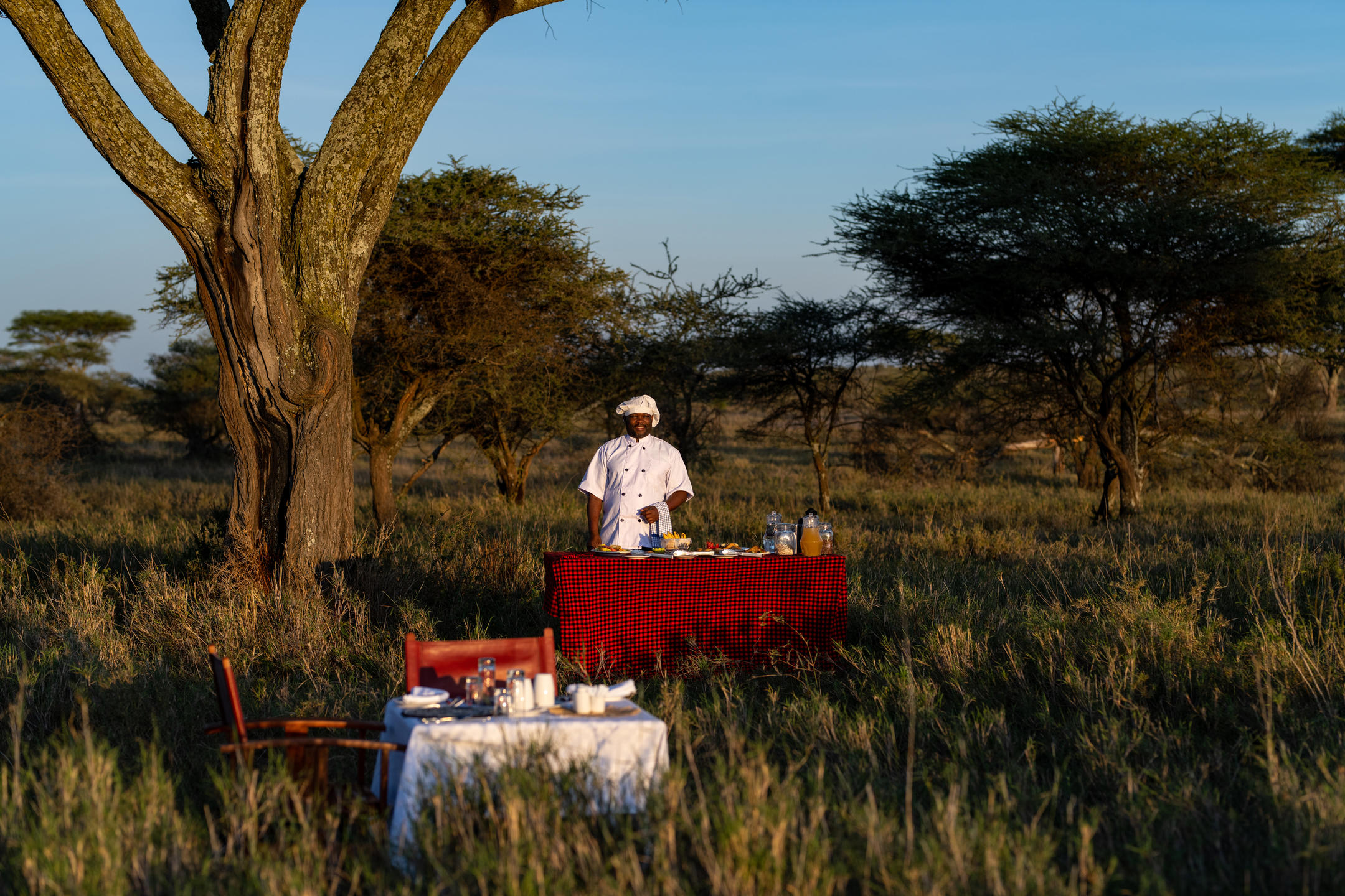 sc_bush_dining_18